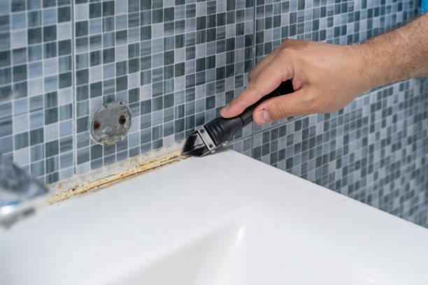 Reliable Mariposa, CA Mold Removal Solutions