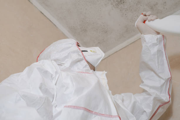 Best Mold Testing  in Mariposa, CA